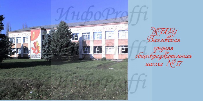 Школы Мясниковского района - image shkola17 on http://infoproffi.ru