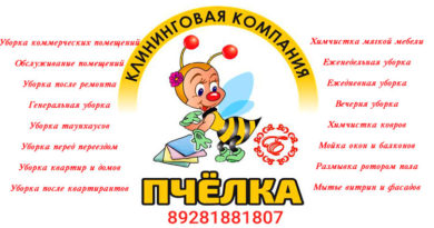 Центр психического здоровья «ДУШЕВНАЯ ГАРМОНИЯ» - image Pchelka-klining-v-rostove-390x205 on http://infoproffi.ru