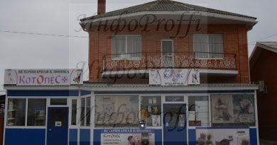 Сдается готовый бизнес в Чалтыре - image DSC_1102-390x205 on http://infoproffi.ru