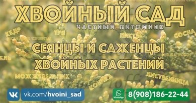 Продажа готового бизнеса в Чалтыре - image vizitka2-390x205 on http://infoproffi.ru