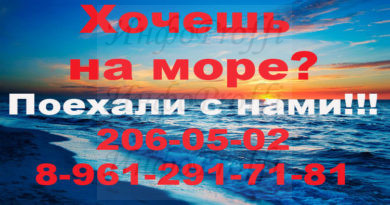 Продажа готового бизнеса в Чалтыре - image Kovcheg-1-390x205 on http://infoproffi.ru