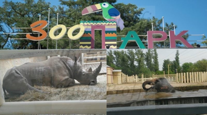 Программа Ростовского зоопарка на выходные дни в честь Дня России - image maxresdefault-800x445 on http://infoproffi.ru