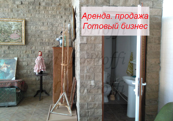 Сдается готовый бизнес в Чалтыре - image Triumfzoo-090 on http://infoproffi.ru